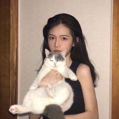 代号枪手2破解版下载
